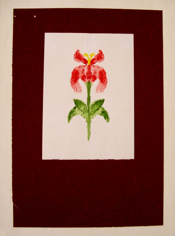 Archiv-Bild „Blume“