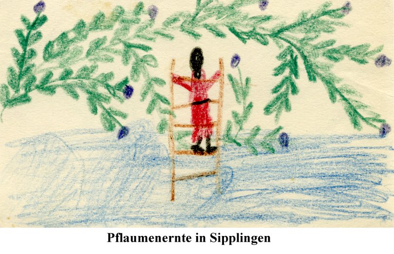 Archiv-Bild „1949, Ohne Titel“