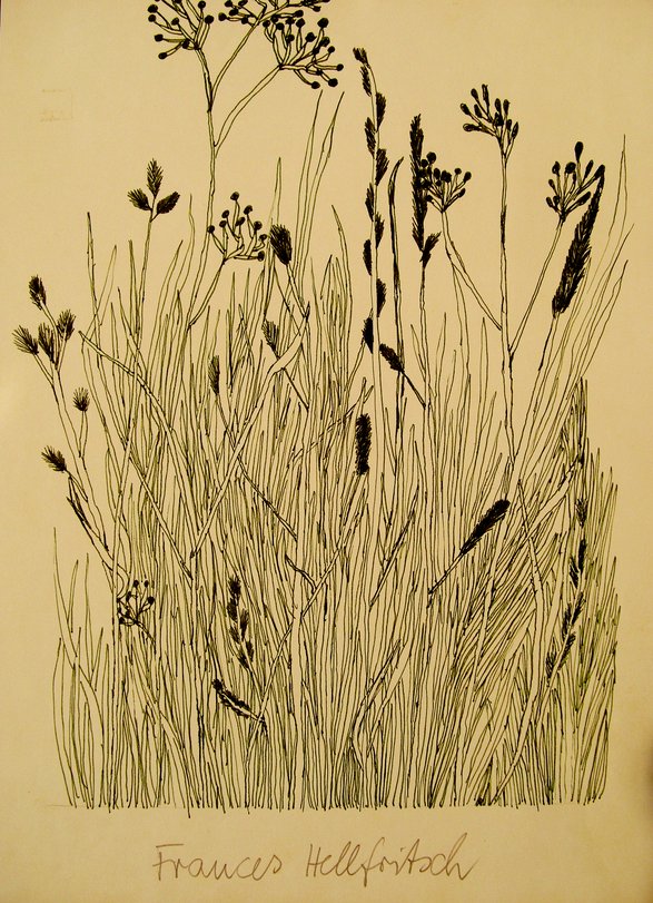 Archiv-Bild „Grasstück“