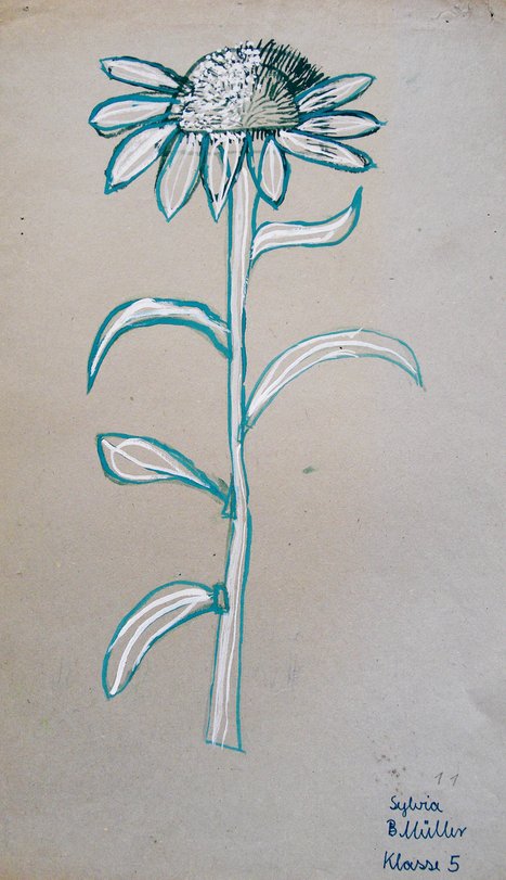 Archiv-Bild „Sonnenblume“