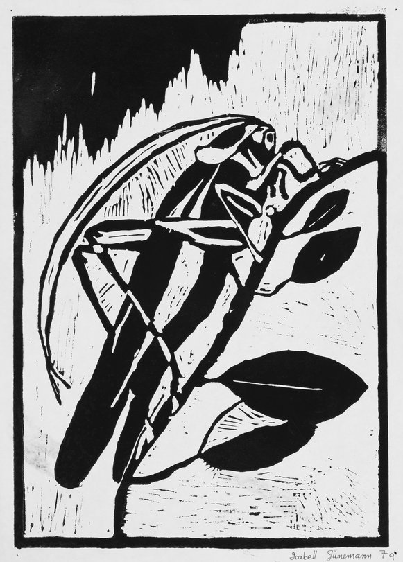 Archiv-Bild „Tiere“