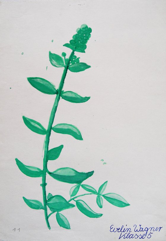 Archiv-Bild „Pflanze“