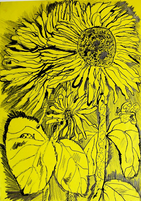 Archiv-Bild „Sonnenblumen“