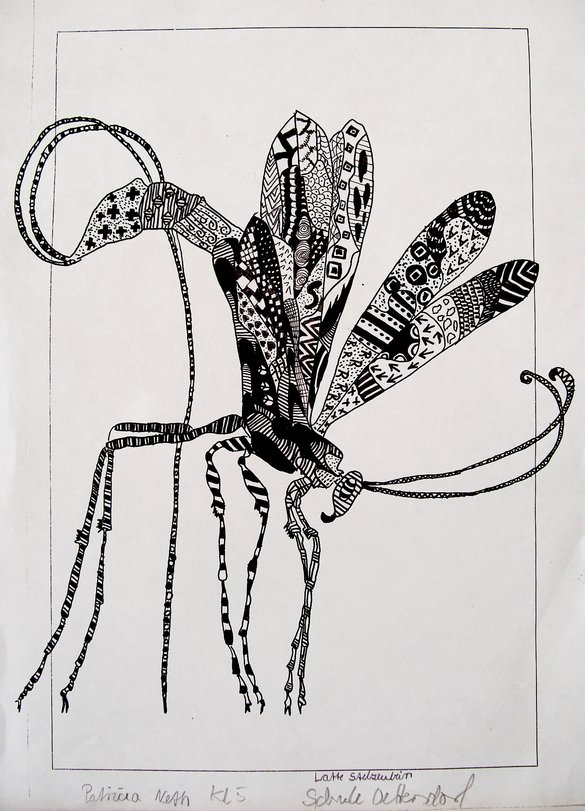 Archiv-Bild „Insekt, Latte Stelzenbein“