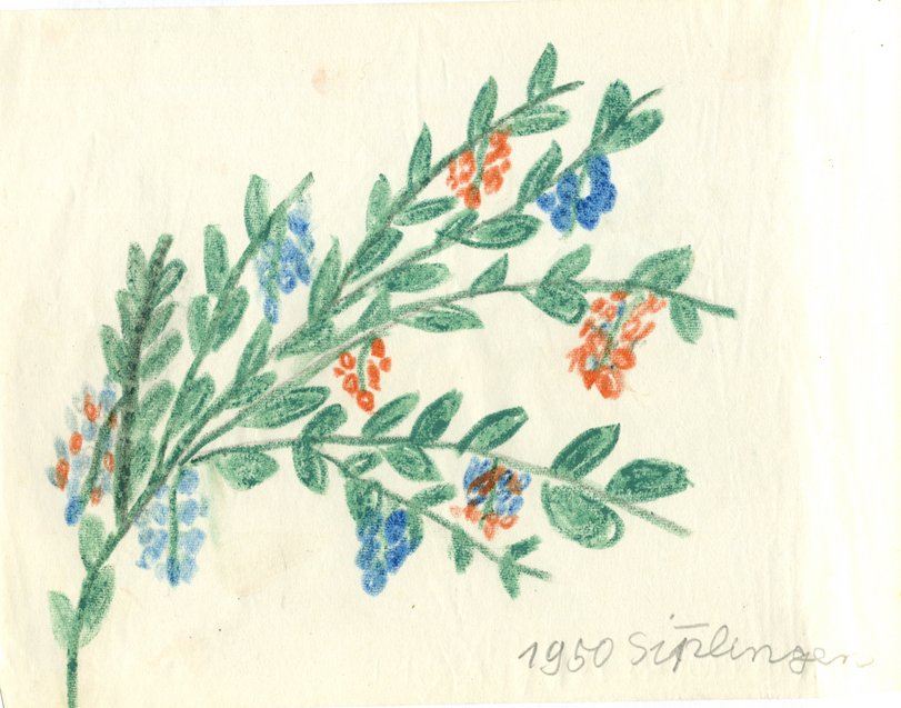 Archiv-Bild „1950, Ohne Titel“