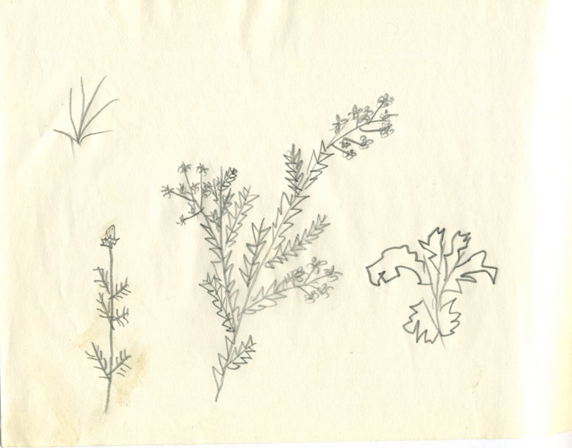 Archiv-Bild „1950, Ohne Titel“