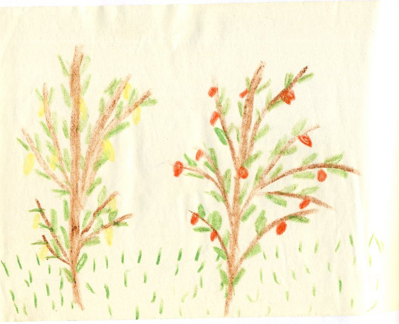 Archiv-Bild „1950, Ohne Titel“