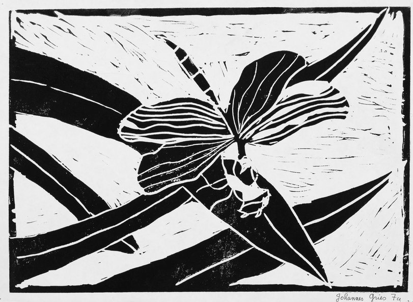 Archiv-Bild „Tiere“