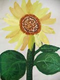 Archiv-Bild „Sonnenblume“