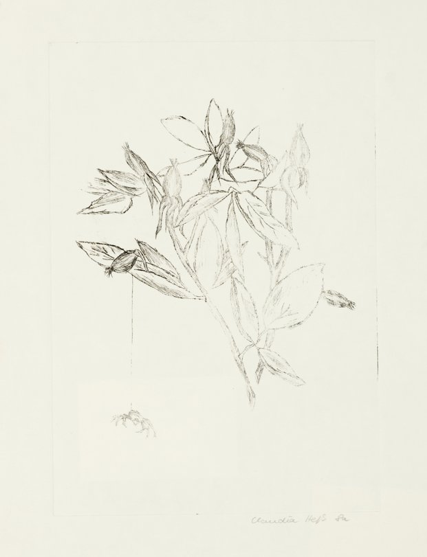 Archiv-Bild „Pflanzen“