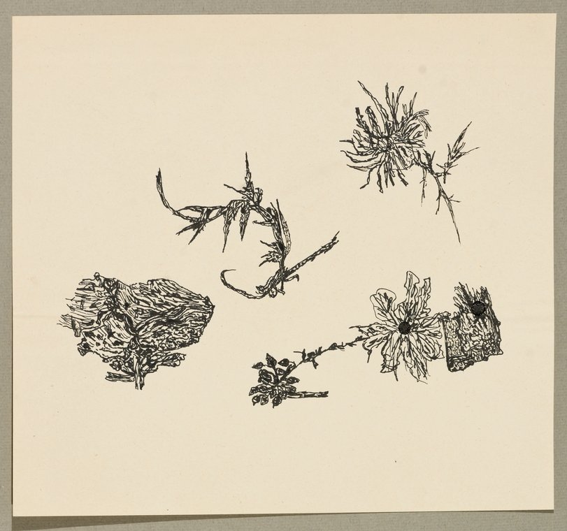 Archiv-Bild „Zeichenstudien Landschaften“