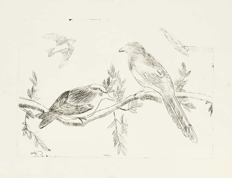 Archiv-Bild „Vögel“