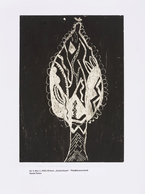 Archiv-Bild „Zauberbaum“