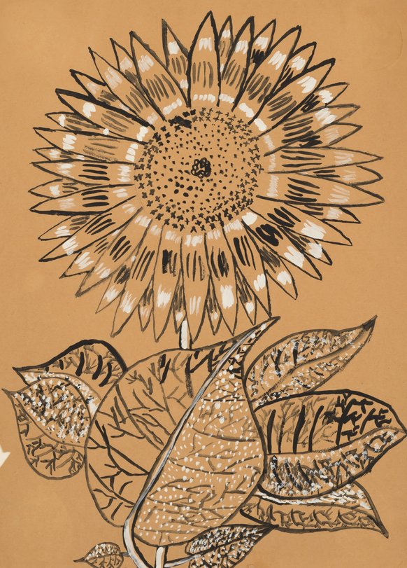 Archiv-Bild „Sonnenblume“