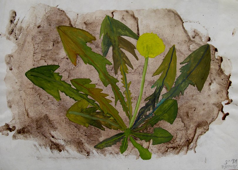 Archiv-Bild „Löwenzahn“