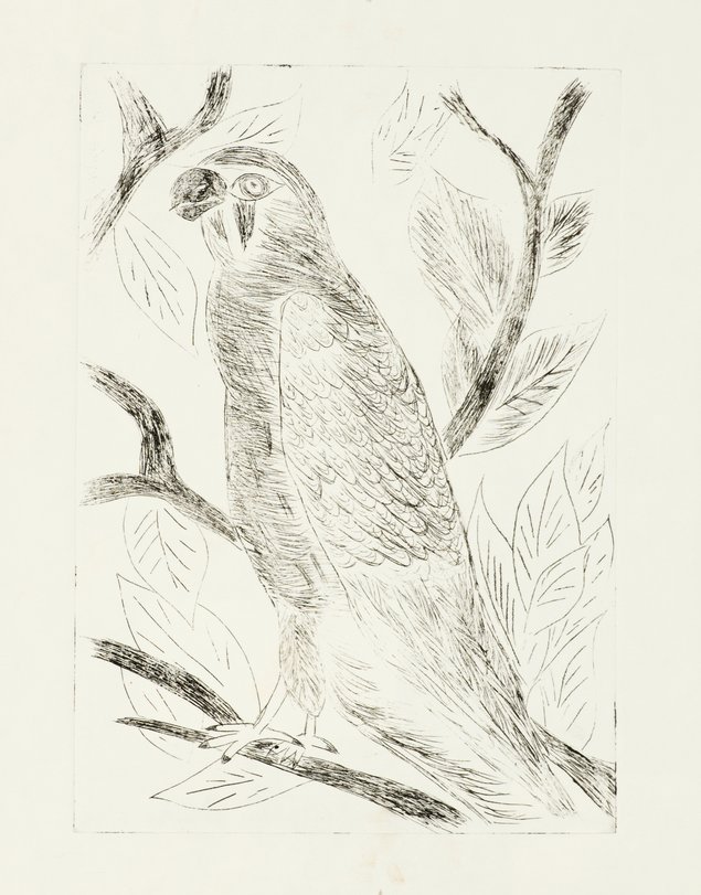 Archiv-Bild „Vögel“