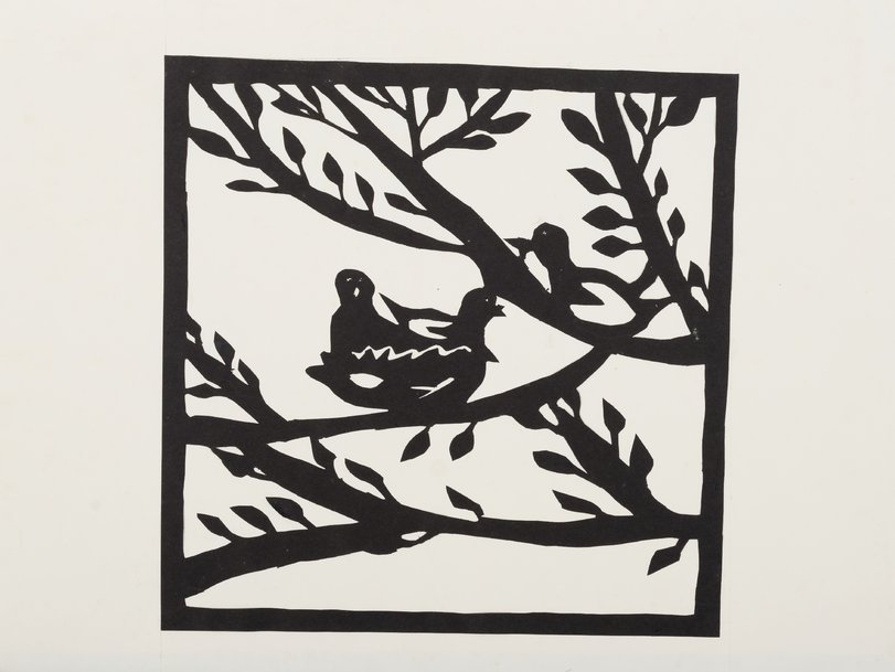 Archiv-Bild „Vogelnest“