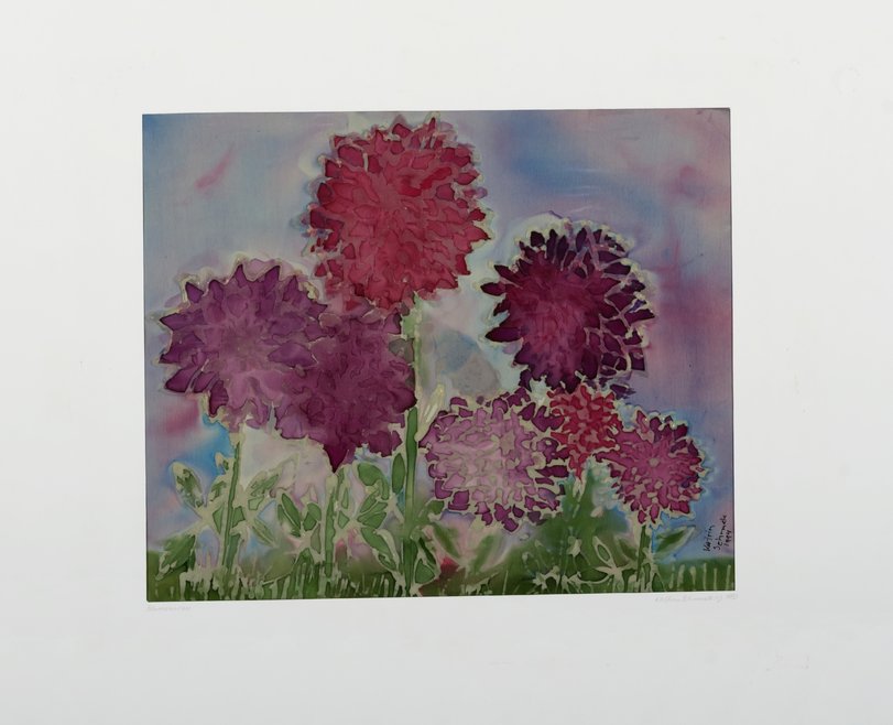 Archiv-Bild „Blumenwiese“