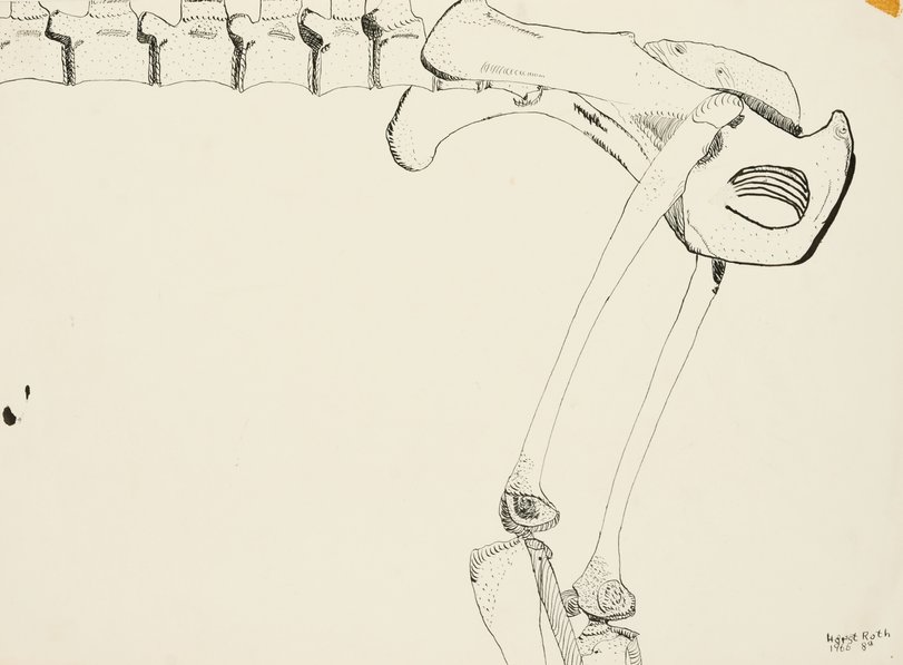 Archiv-Bild „Zeichenstudien nach Knochen“