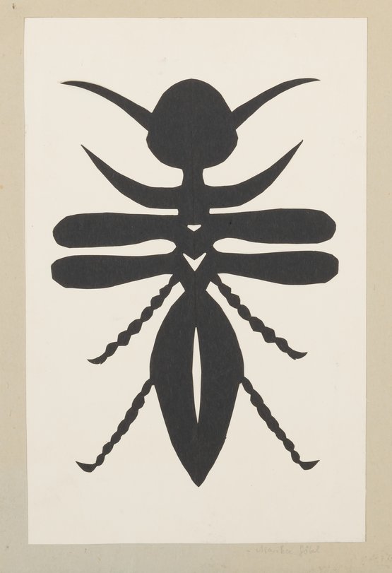 Archiv-Bild „Käfer“