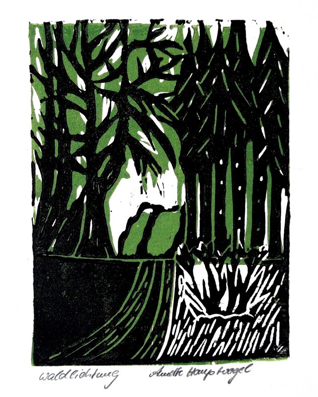 Archiv-Bild „Blick durch die Bäume“