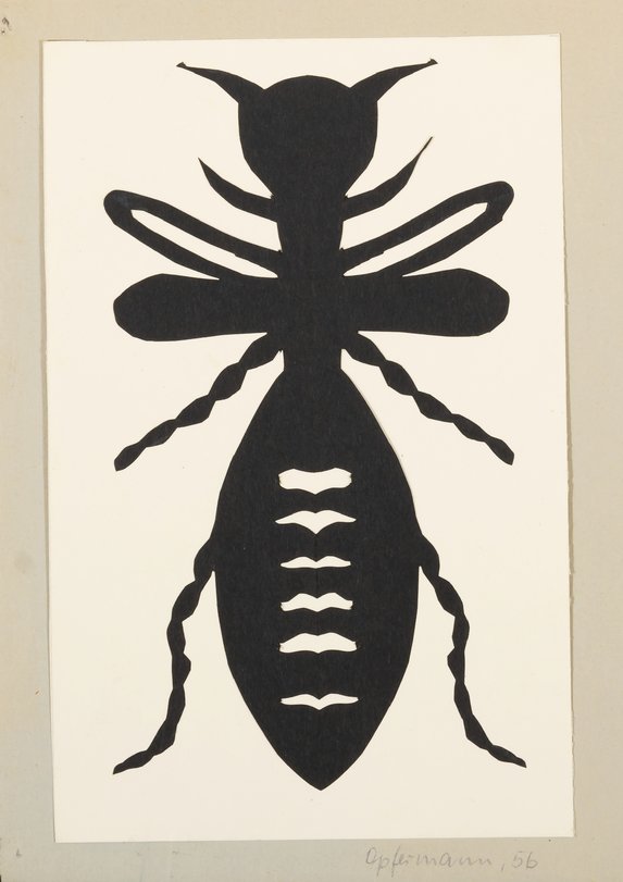 Archiv-Bild „Käfer“