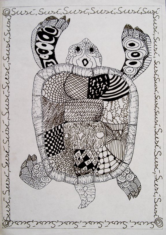 Archiv-Bild „Schildkröte“