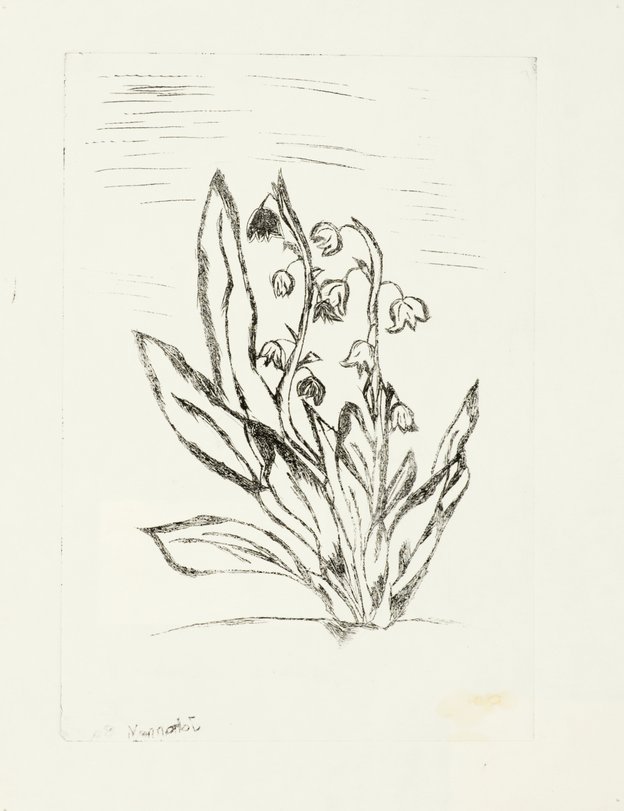 Archiv-Bild „Pflanzen“