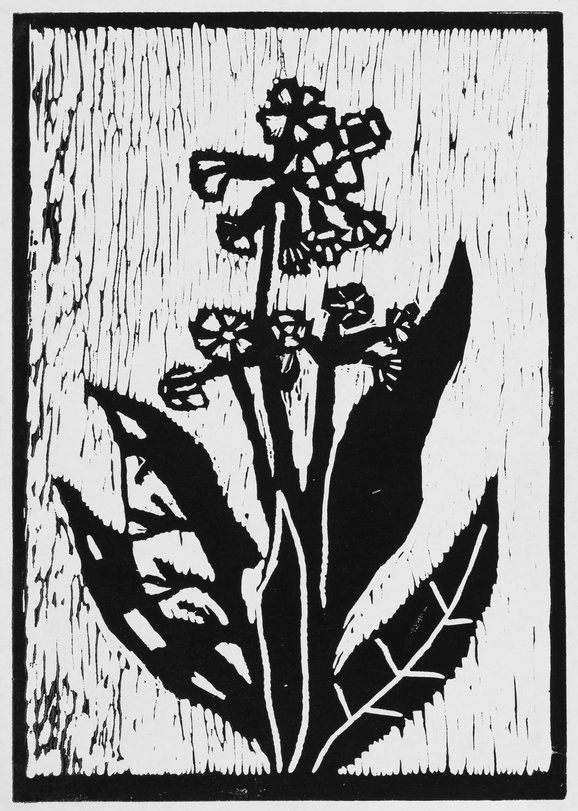 Archiv-Bild „Pflanzen“