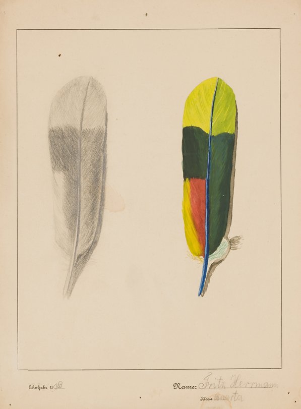 Archiv-Bild „Vogelfedern“