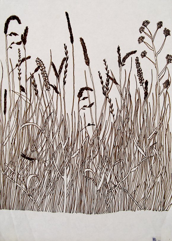 Archiv-Bild „Grasstück“