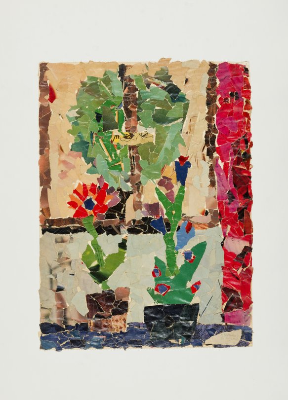 Archiv-Bild „Ohne Titel (Kakteen)“