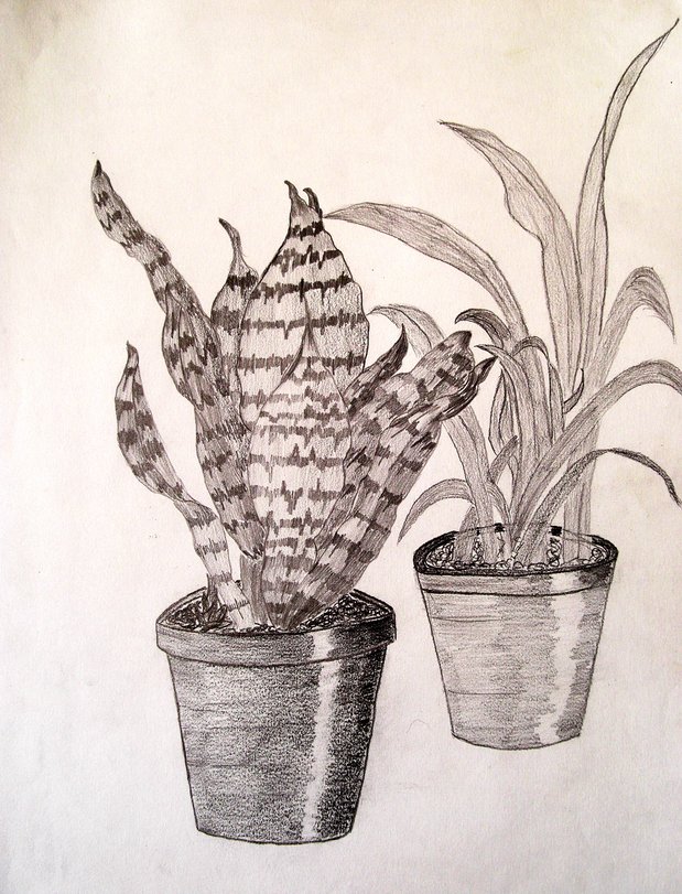 Archiv-Bild „Blumentöpfe“