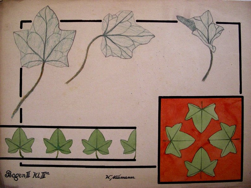 Archiv-Bild „Ornamentmotiv Efeu“