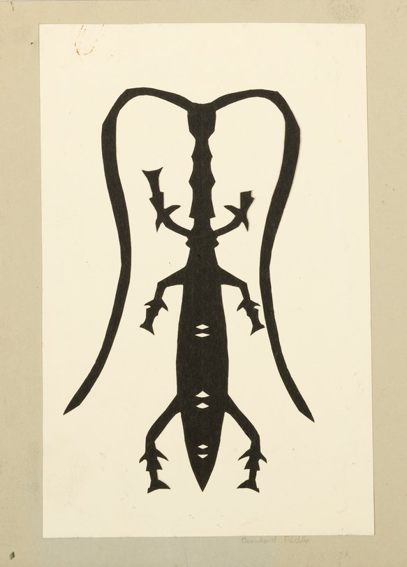 Archiv-Bild „Käfer“