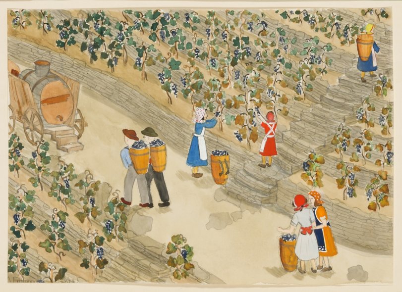 Archiv-Bild „Weinlese“