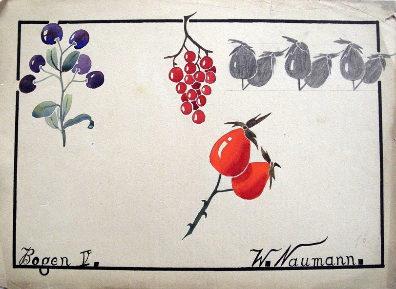 Archiv-Bild „Beeren, Hagebutten“