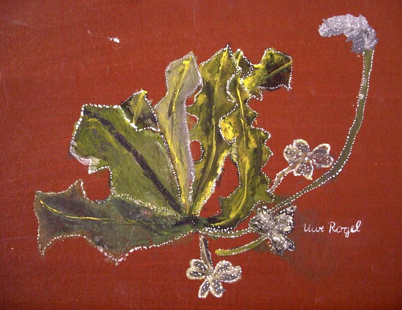 Archiv-Bild „Pflanzen im Raureif“