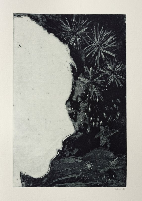 Archiv-Bild „Buch: Selbstbildnisse, Wirklichkeit und Traum“