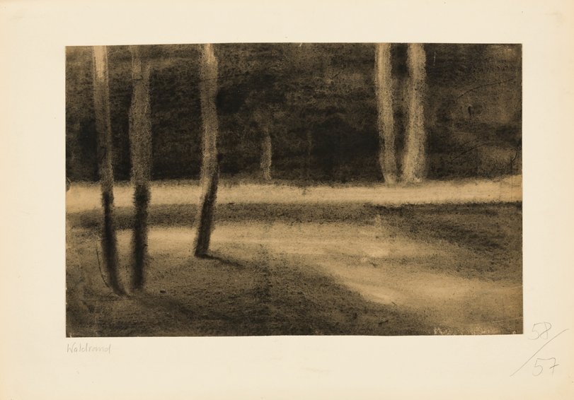 Archiv-Bild „Waldrand“