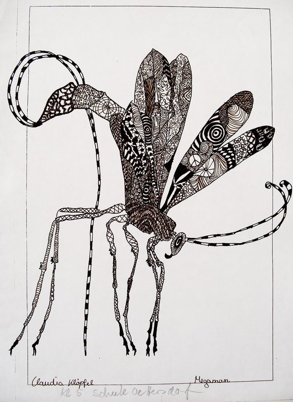 Archiv-Bild „Insekt“