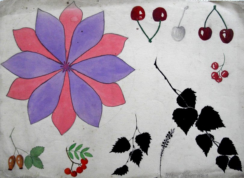 Archiv-Bild „Naturstudien, Rosette“