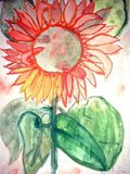 Archiv-Bild „Sonnenblume“