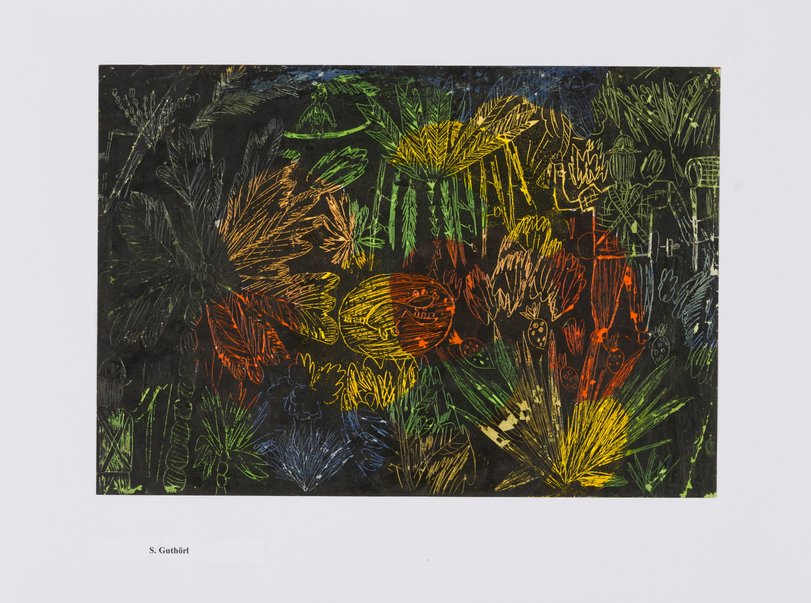 Archiv-Bild „Erforschung des Urwalds“