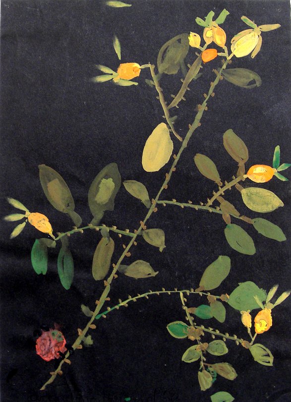 Archiv-Bild „Hagebutten“