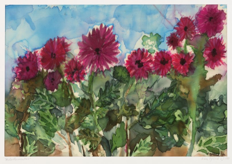 Archiv-Bild „Herbstblumenbeet“