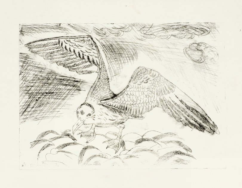 Archiv-Bild „Vögel“