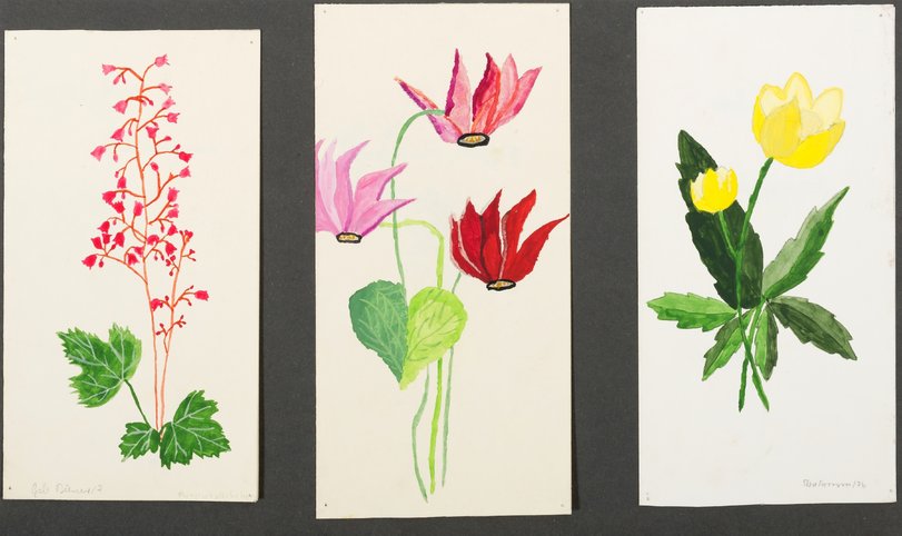 Archiv-Bild „Glückwunschkarten: Purpurglöckchen / Alpenveilchen / Buschwindröschen“