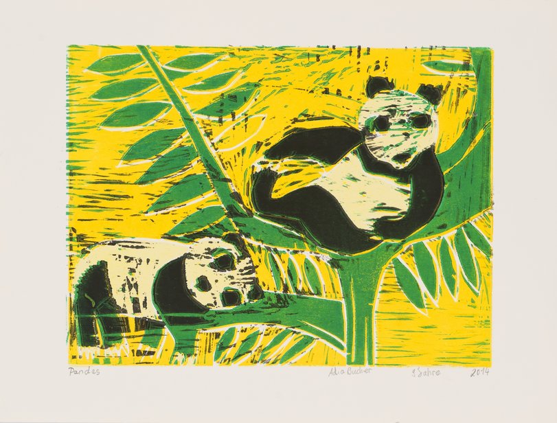 Archiv-Bild „Pandabären“