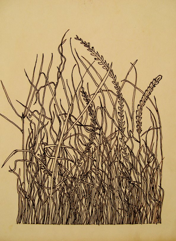 Archiv-Bild „Grasstück“